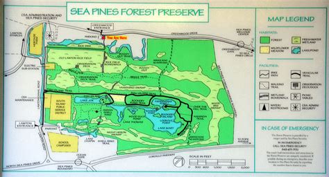 sea pines forest preserve hiltonhead sccom