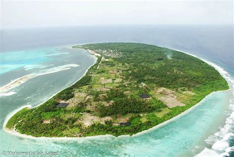 kaashidhoo view maldives islands  updated prices deals