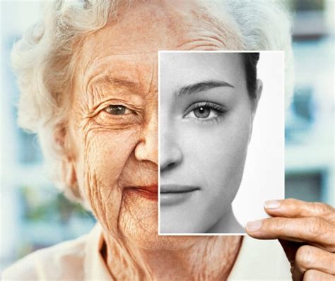 aging process   ways  fight  aging process mkexpressnet