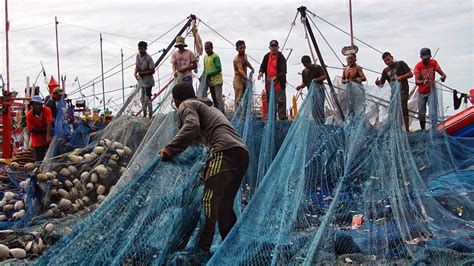 fight illegal fishing governments advance information sharing  capacity