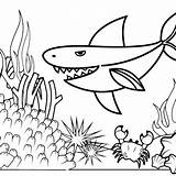 Shark Mitraland sketch template
