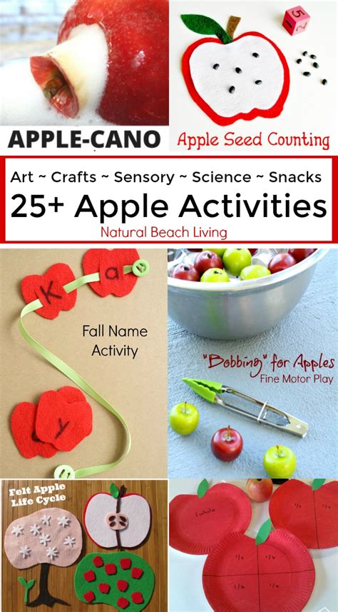 awesome apple activities  kids natural beach living