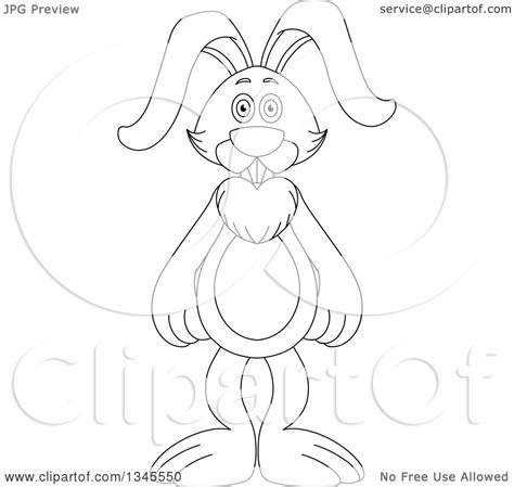 standing rabbit drawing  getdrawings