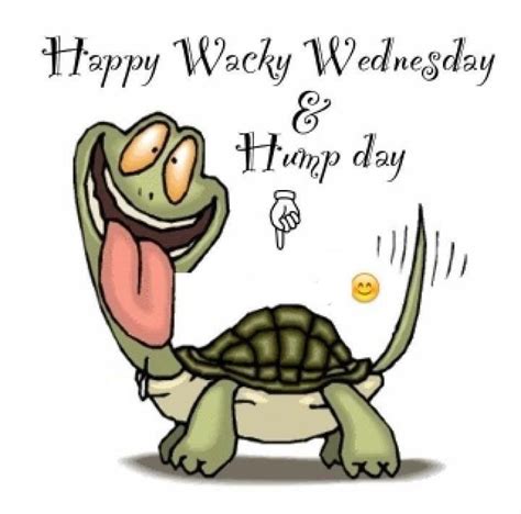 wacky wednesday quotes quote days of the week wednesday hump day wednesday quotes good morning