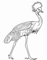 Crane Ichabod sketch template