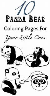 Panda Coloring Pages Bear Printable Cute Ones Little Momjunction sketch template