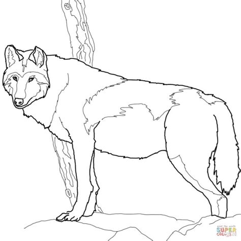 excellent image  wolf coloring pages birijuscom