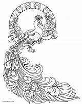 Peacock Coloring Pages Kids Printable Drawing Colouring Realistic Color Adult Bird Sketch Cool2bkids Mandala Print Book Designs Template Sheets Tattoo sketch template