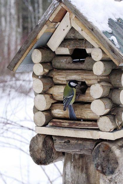 pretty blue jay bird house feeder bird feeder bird house kits bird houses diy bird boxes