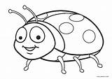 Ladybug Biedronka Dzieci Dla Mariquita Colorare Kids Kolorowanka Coccinelle Mariquitas Druku Cool2bkids Quadrifoglio Disegni Fleurie Robe Drukowania Drukowanka Biedroneczka Insectos sketch template
