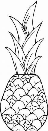 Pineapple Coloring Clipart Pages Clip Hawaiian Book Printable Kids Cliparts Colouring Drawing Template Tumblr Clipartix Transparent Kid Line Library Cliparting sketch template