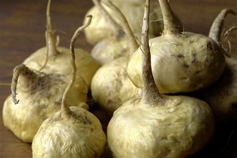 maca can a root boost energy and sex drive wsj