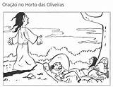 Feira Santa Oliveiras Oração Horto Discípulos Compre sketch template