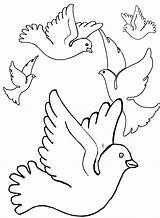 Coloring Pages Dove Pigeon Pidgeons Animated Pigeons Coloringpages1001 Coloring2print Gifs 75kb 788px Color sketch template