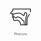 Isolated Pharynx Esophagus sketch template