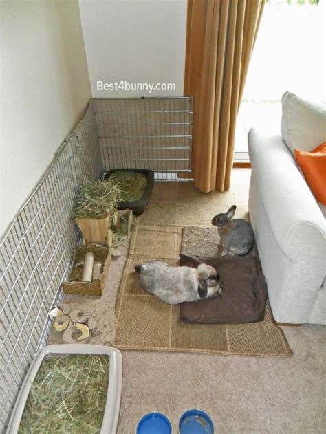 best 25 rabbit playpen ideas on pinterest rabbit cages outdoor indoor rabbit house and