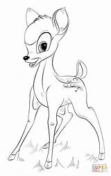 Bambi Coloring Pages Drawing Draw Disney Printable Step Drawings Cartoon Supercoloring Tutorials Kids Sketch Ausmalbilder Malen Zeichnen Characters Easy Visit sketch template