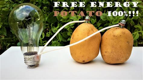How To Make A Light Bulb Glow From A Potato Funny Games Adult