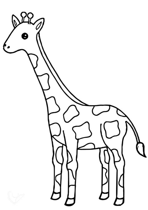 coloring pages baby giraffe coloring pages