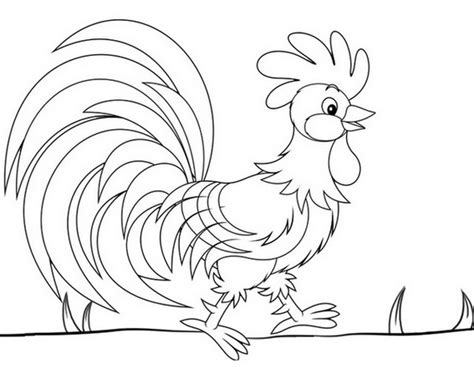 beautiful rooster coloring page