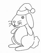 Bunny Pre02 sketch template