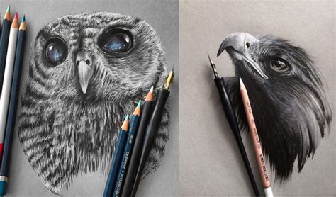 stunning animals realistic pencil drawing  jonathan martinez inspiration