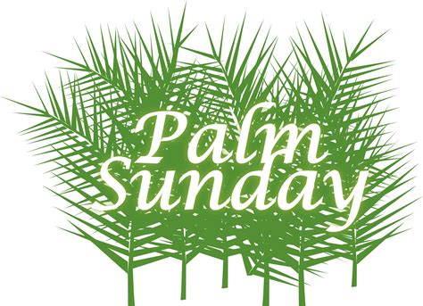 palm sunday  green fronds wallpaper