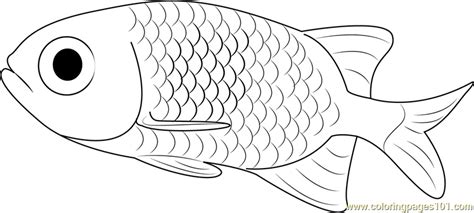 small fish coloring page  kids   fish printable coloring