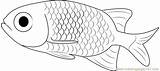 Fish Small Coloring Pages Coloringpages101 Pdf Printable sketch template