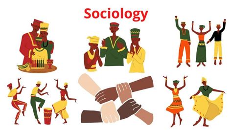 sociology definition  overview research method