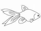 Poisson Goldfish Rouge Fish Coloring Pages Dessin Kids Printable Coloriage Imprimer Colorier Print Dessins Drawing Un sketch template