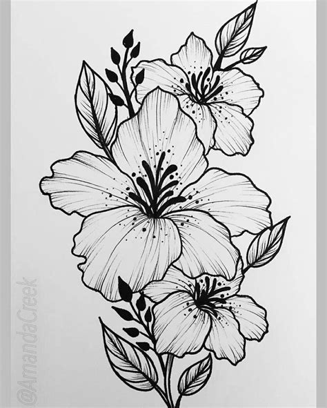 beautiful flower drawing information ideas brighter craft como