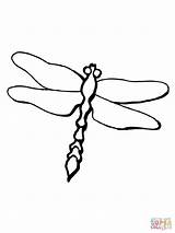 Dragonfly Libelle Categorieën Supercoloring sketch template