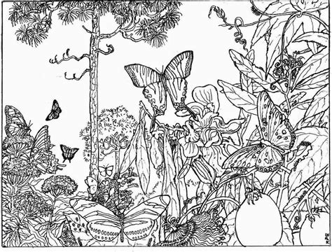 nature alive forest hd coloring pages  adult