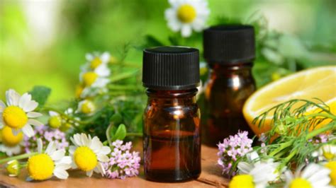natural healing essential oils     home collective