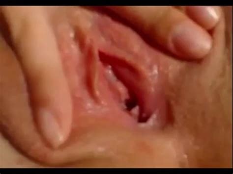 sweet vagina lips webcamera porn mamboone