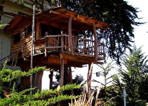 treehouse ideas   backyard lawnstarter