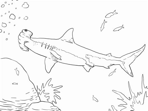 great hammerhead shark  long  serrated teeth coloring page