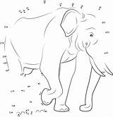 Dots Elefante Dot Puntini Unisci Animali sketch template