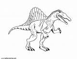 Spinosaurus Coloring Pages Clipart Printable Kids Color Adults sketch template