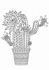 Cactus Coloring Pages Print Wonder sketch template