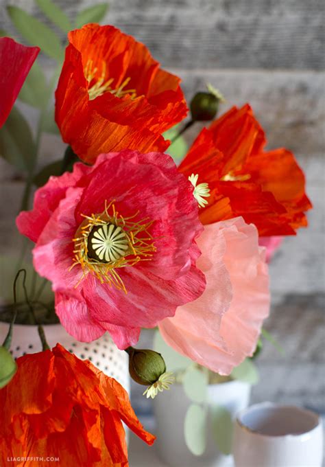 lia griffith painterly crepe paper poppies poppy pods