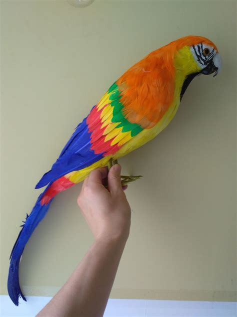 big creative simulation colorful parrot toy foamfeathers large parrot model  cm