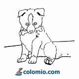 Coloring Dog Cute Pages Drawing sketch template