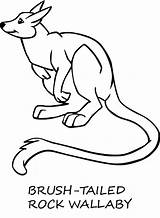 Wallaby Coloring Pages Color Designlooter Animals Rock 680px 59kb sketch template