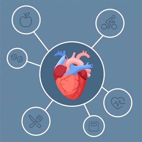 heart disease heart health problems explained