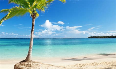 top 10 most amazing beaches in costa rica viva glam magazine