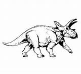Triceratops Coloring Coloringcrew sketch template