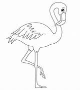 Flamingo Flaming sketch template