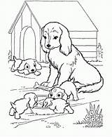 Puppy Dogs Coloringhome Coll sketch template